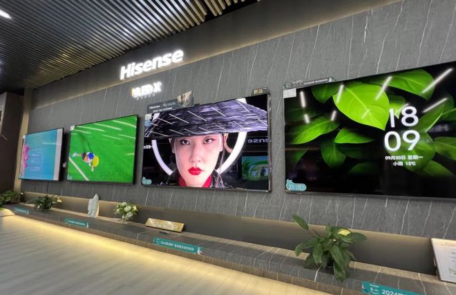 庆”促消费活动暨海信百亿补贴活动在南阳家电大世界盛大启动尊龙凯时ag旗舰厅网站南阳市2024年“惠享南都 欢购国(图3)