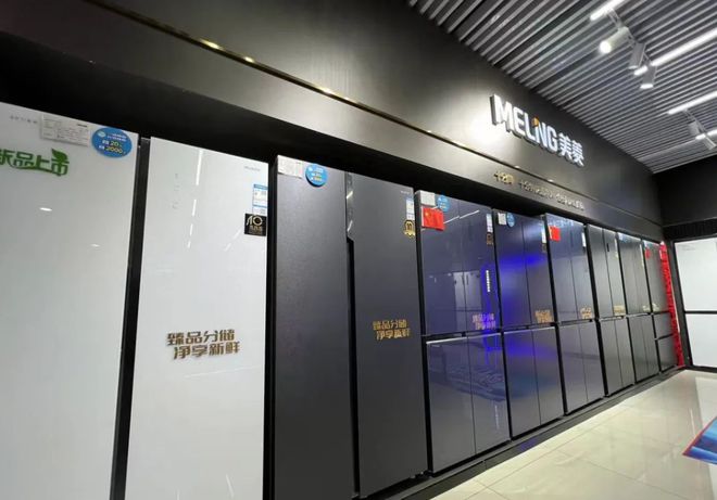 庆”促消费活动暨海信百亿补贴活动在南阳家电大世界盛大启动尊龙凯时ag旗舰厅网站南阳市2024年“惠享南都 欢购国(图4)