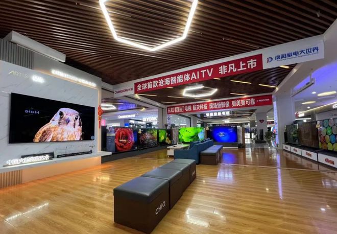 庆”促消费活动暨海信百亿补贴活动在南阳家电大世界盛大启动尊龙凯时ag旗舰厅网站南阳市2024年“惠享南都 欢购国(图11)