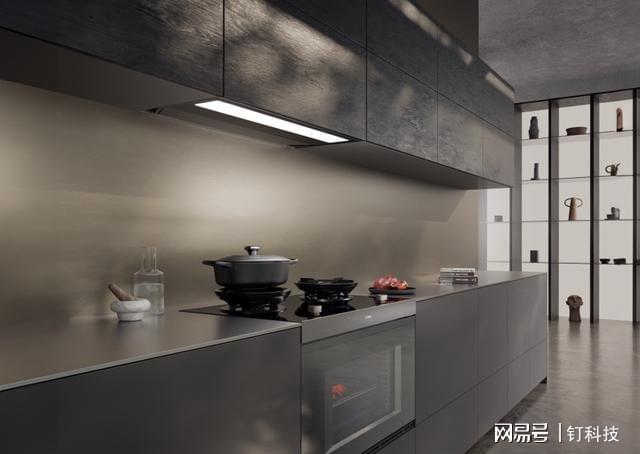 ：品类表现明显分化AI、美学日渐流行凯时尊龙最新网站2024厨电十大事件