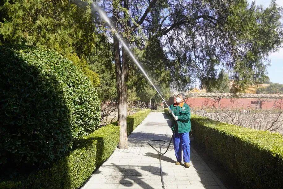 炎该怎么办？应对指南来了！尊龙凯时链接得了过敏性结膜