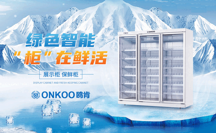 最新冰柜-冷柜品牌（CNPP）凯时尊龙人生冰柜十大品牌榜单(图2)